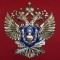 Публичное мероприятие 30 июля 2025 года в формате ВКС